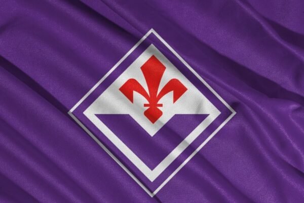 Fiorentina, via libera per Gnonto! Tutti i dettagli