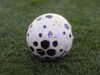 Serie C, giudice sportivo: tre squalificati per 3 giornate