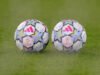 Napoli-Bodo Glimt, probabili formazioni e dove vederla